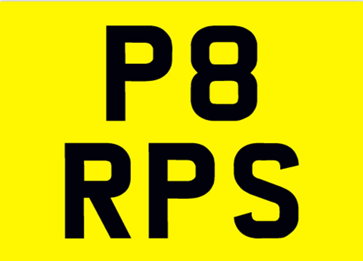 <p>&nbsp; P8 RPS Registration number</p>