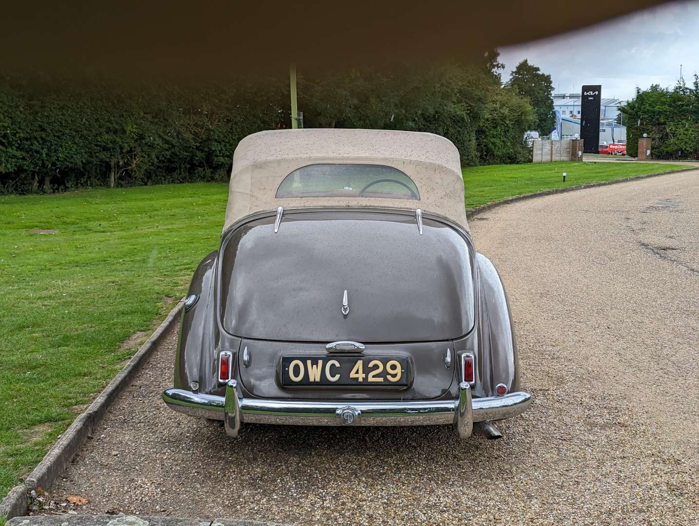 <p>1952 DAIMLER DB18 SPECIAL SPORTS</p>