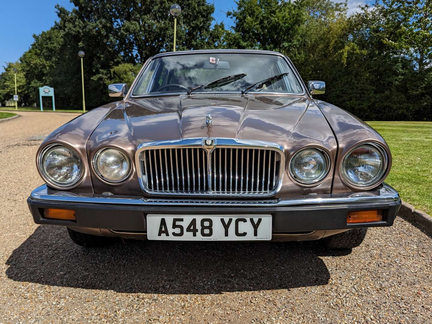 <p>1984 JAGUAR XJ6 4.2 AUTO SERIES 3&nbsp;</p>