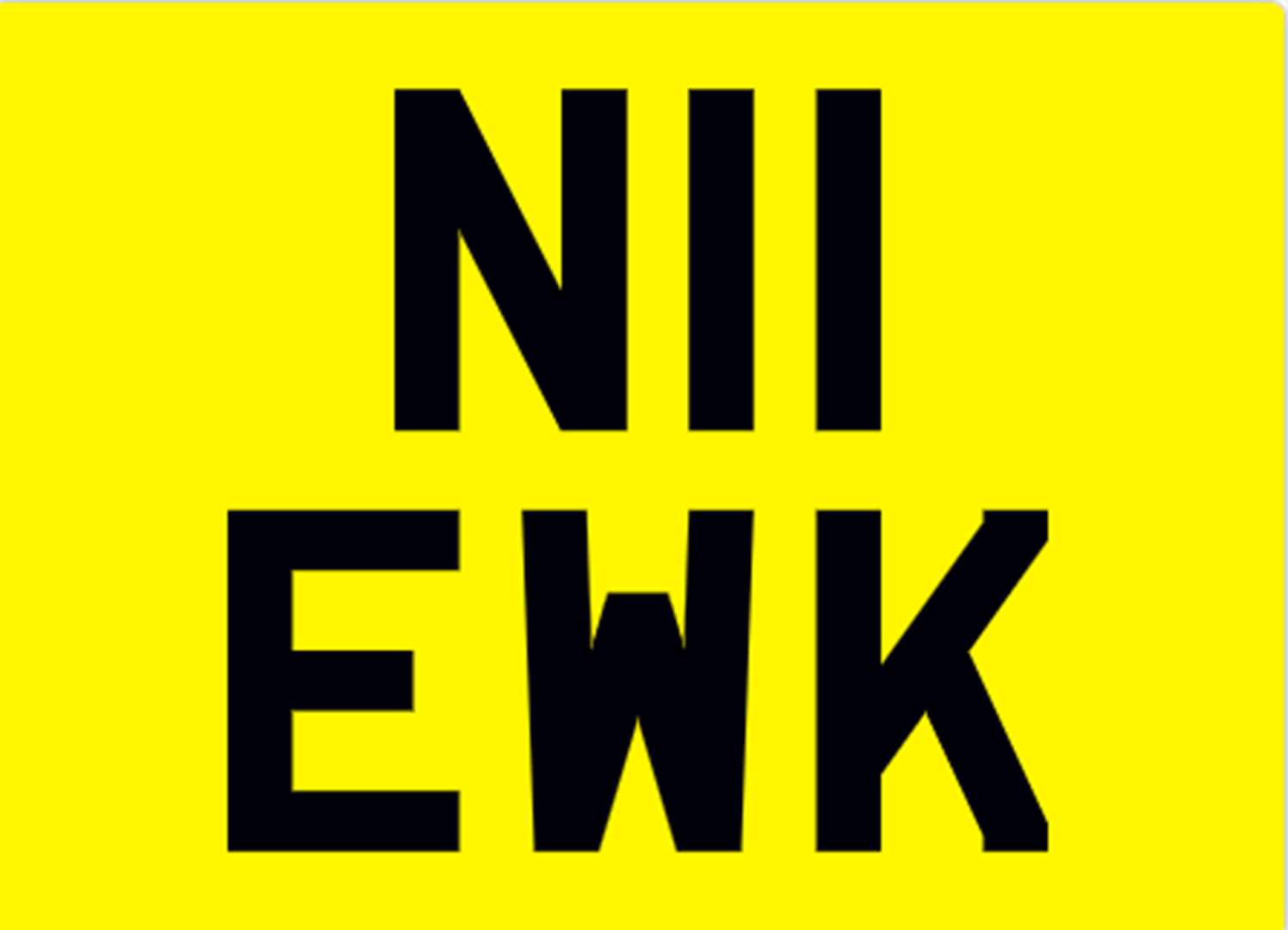 <p>&nbsp; N11 EWK REGISTRATION NUMBER</p>