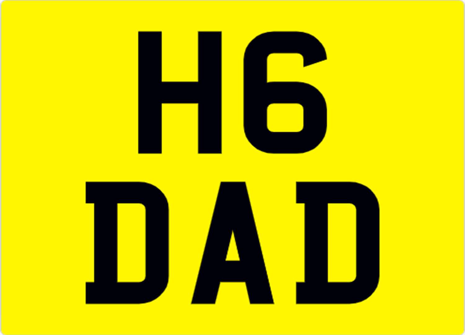 <p>&nbsp; H6 DAD REGISTRATION NUMBER&nbsp;</p>