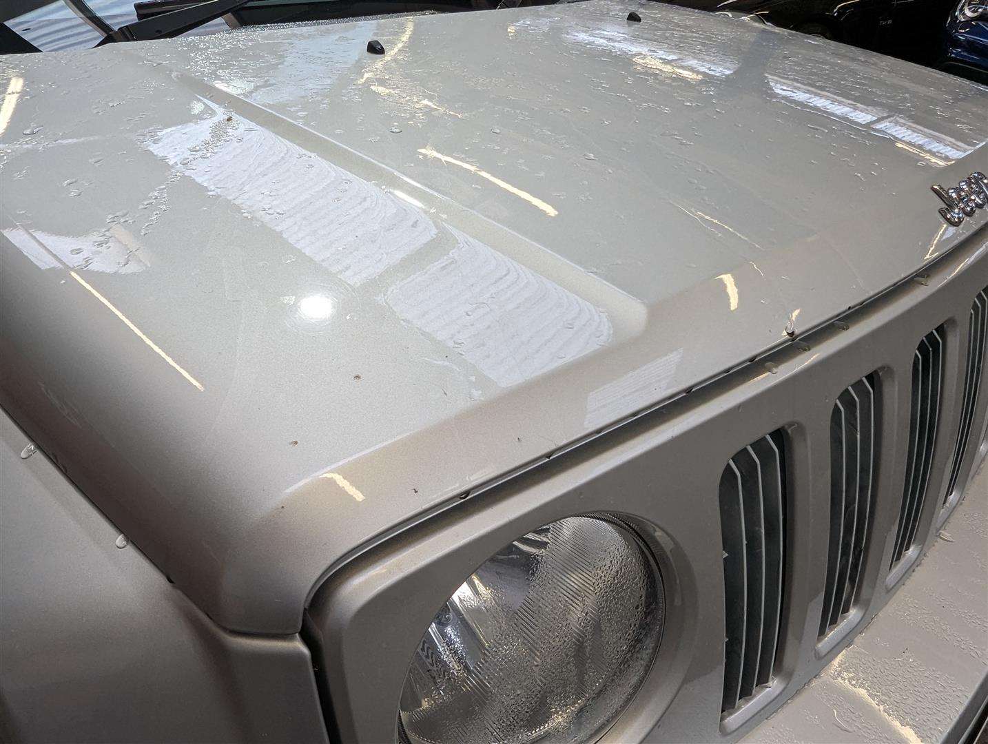 <p>2008 JEEP PATRIOT LIMITED CRD</p>