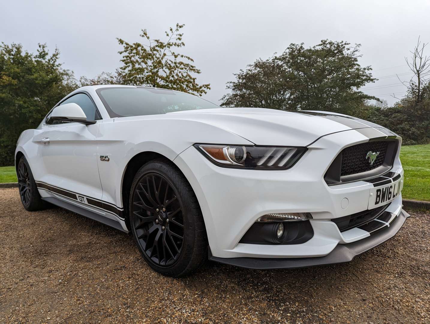 <p>2016 FORD MUSTANG 5.0 GT AUTO</p>