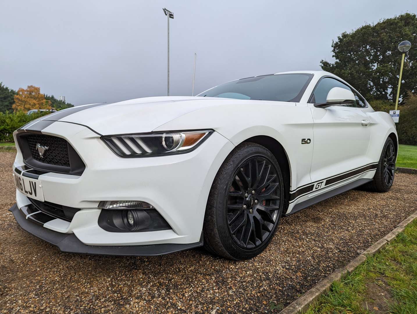 <p>2016 FORD MUSTANG 5.0 GT AUTO</p>