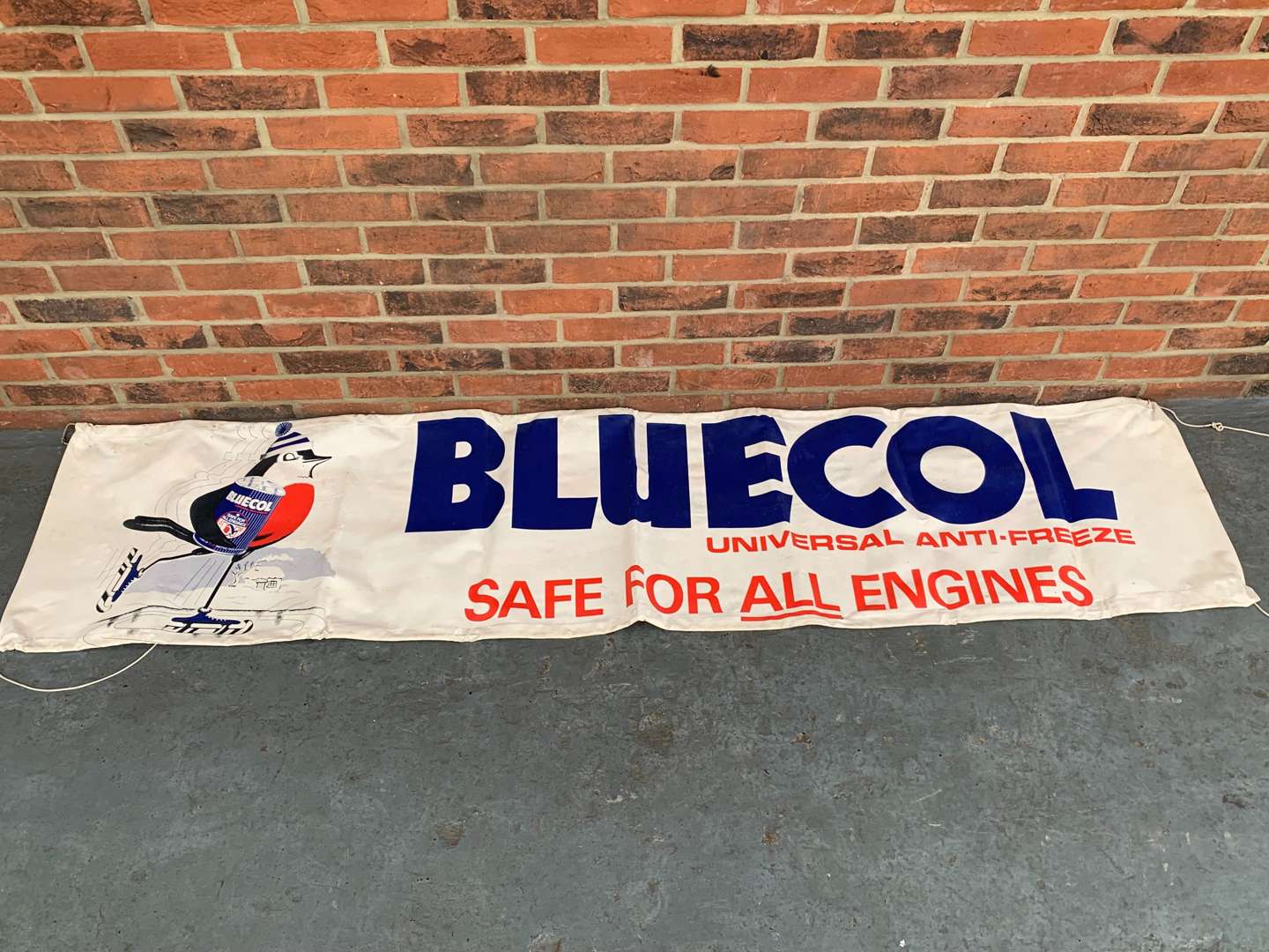 <p>Bluecol Universal Anti-Freeze Banner&nbsp;</p>