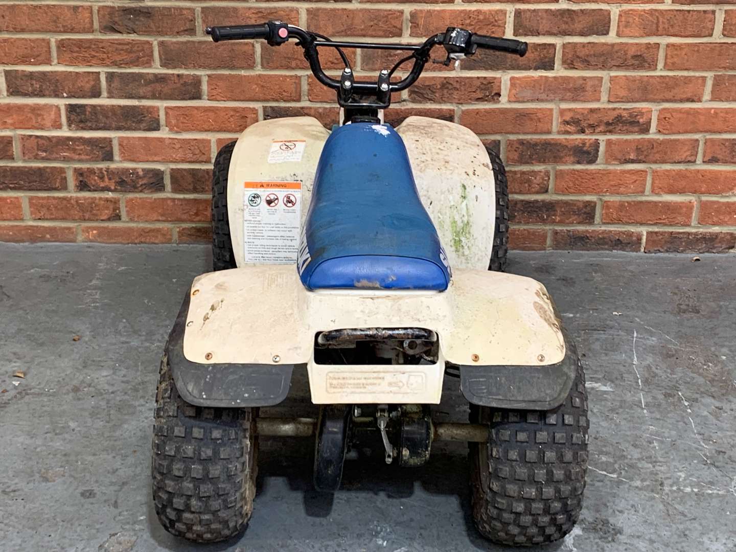 <p>Suzuki 50cc Child's Quad Bike&nbsp;</p>