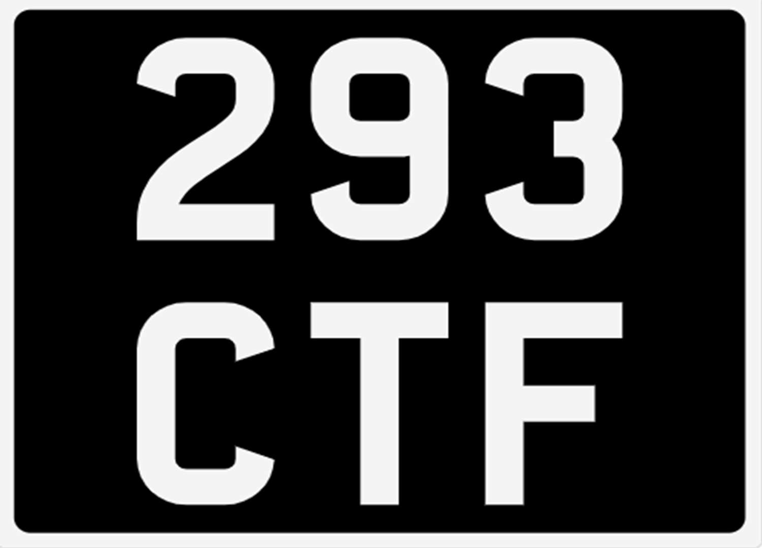 <p>&nbsp; 293 CTF Registration Number&nbsp;</p>