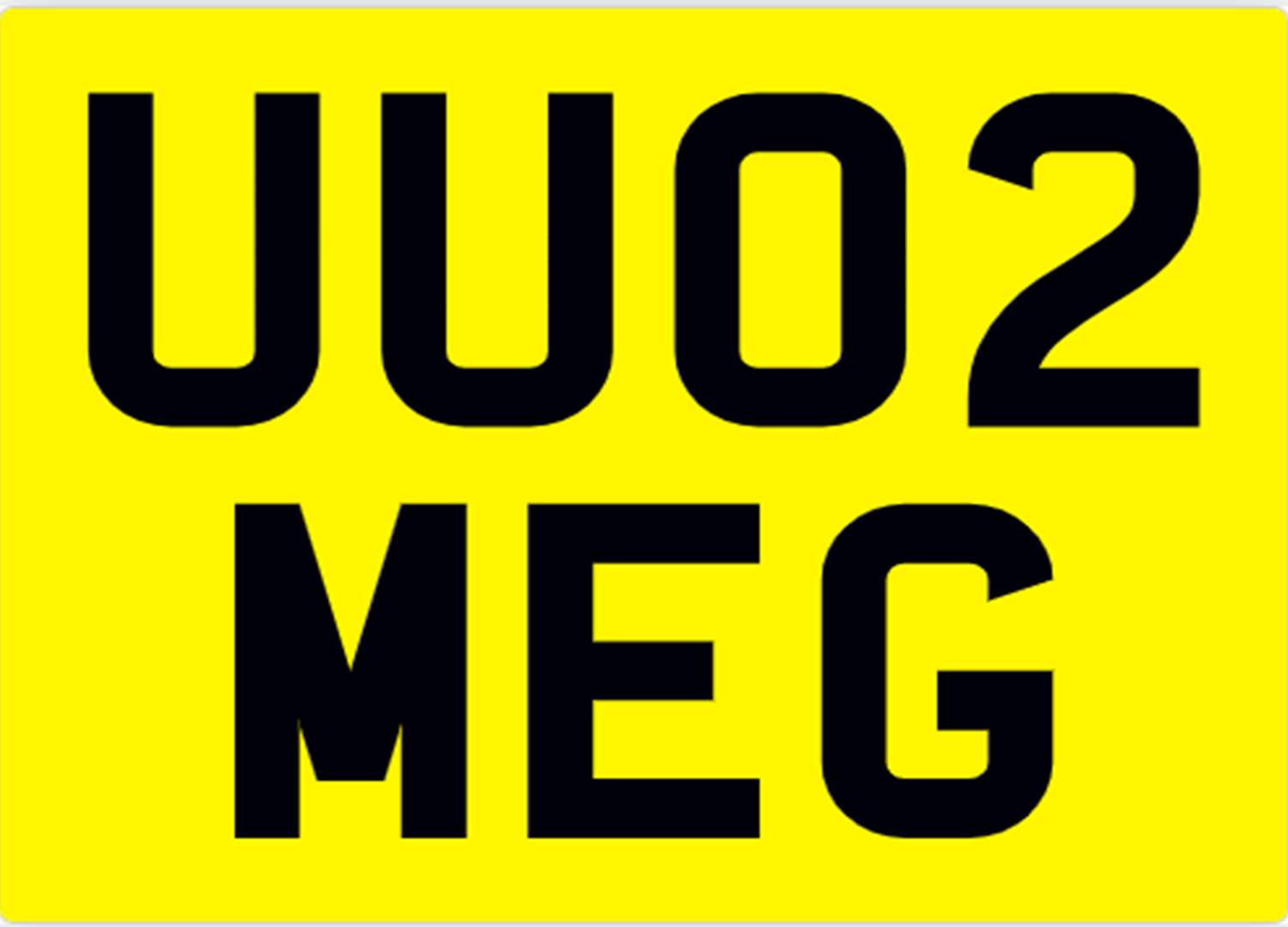 <p>&nbsp; UU02 MEG Registration Number&nbsp;</p>