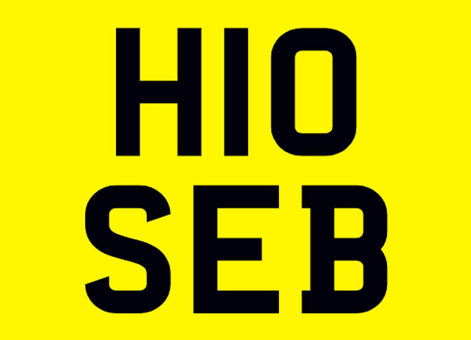 <p>&nbsp; H10 SEB Registration Number&nbsp;</p>