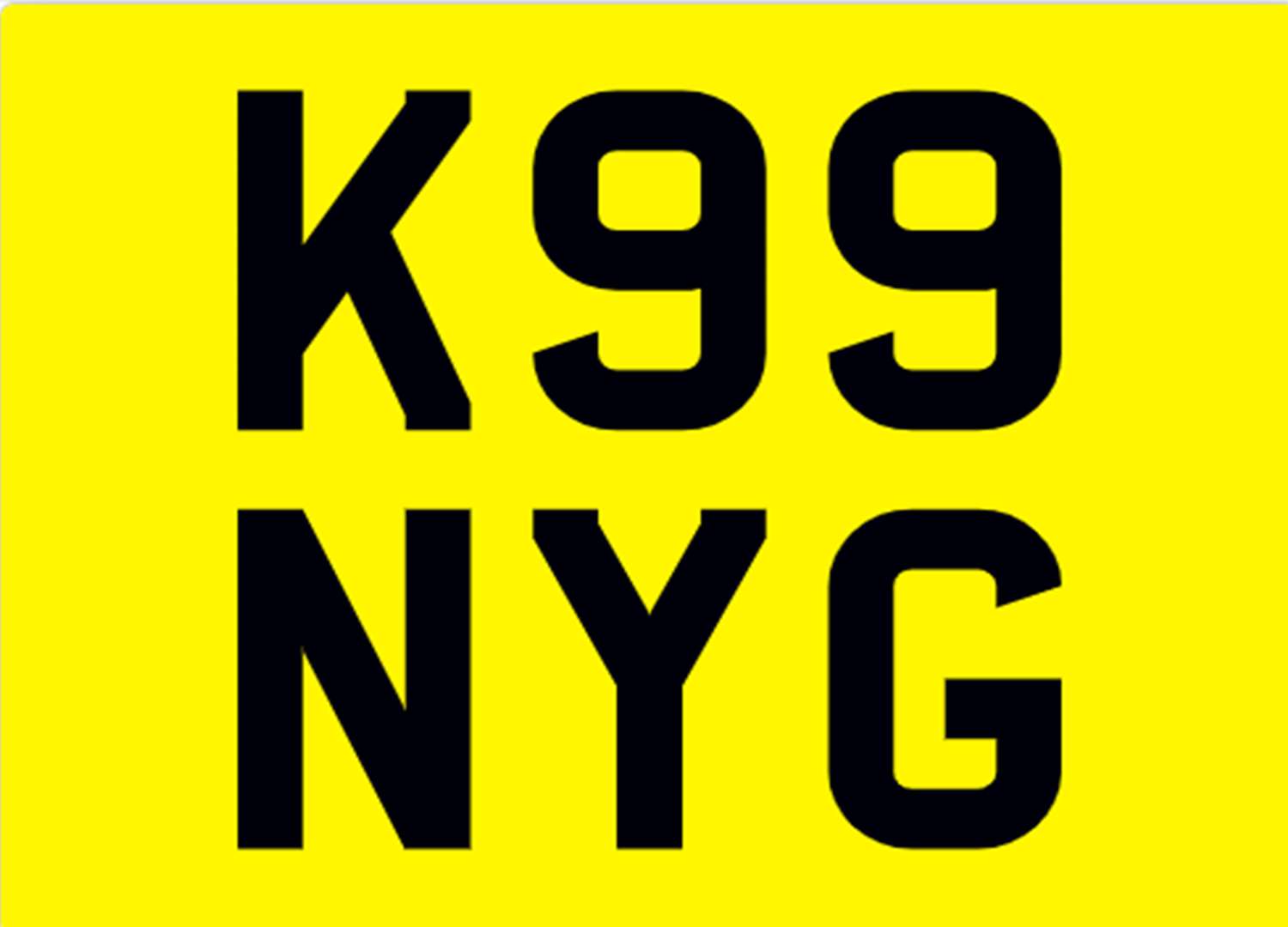 <p>&nbsp; K99 NYG Registration Number</p>