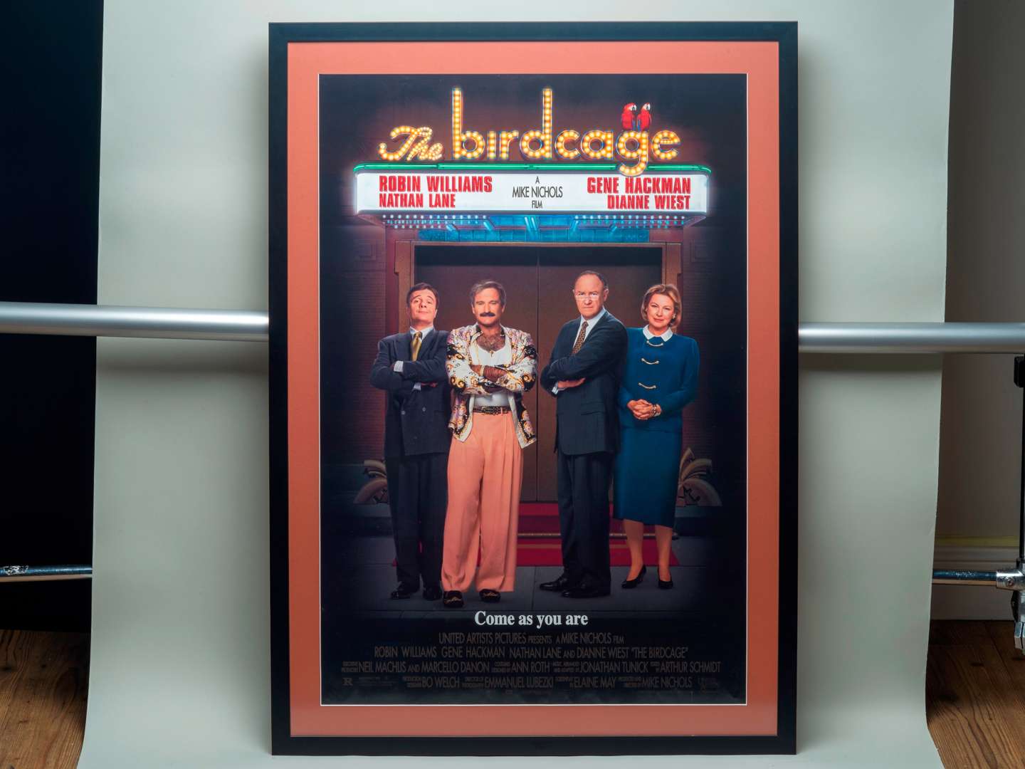 <p>“The Birdcage”, film poster</p>