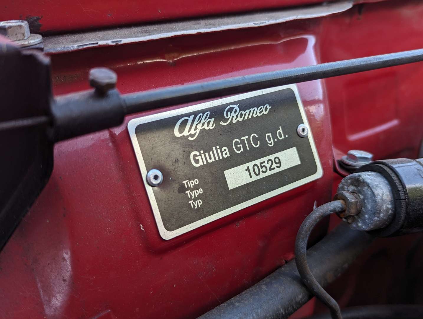 <p>1966 ALFA ROMEO GIULIA GTC&nbsp;</p>