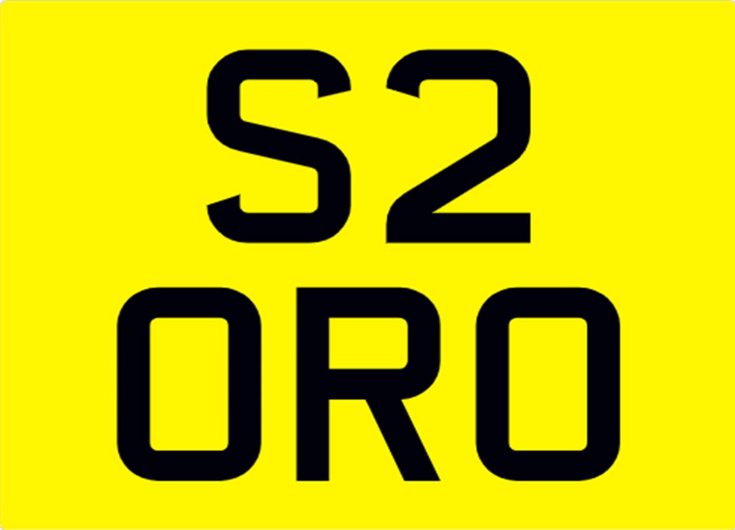 <p>&nbsp; S2 ORO Registration Number&nbsp;</p>