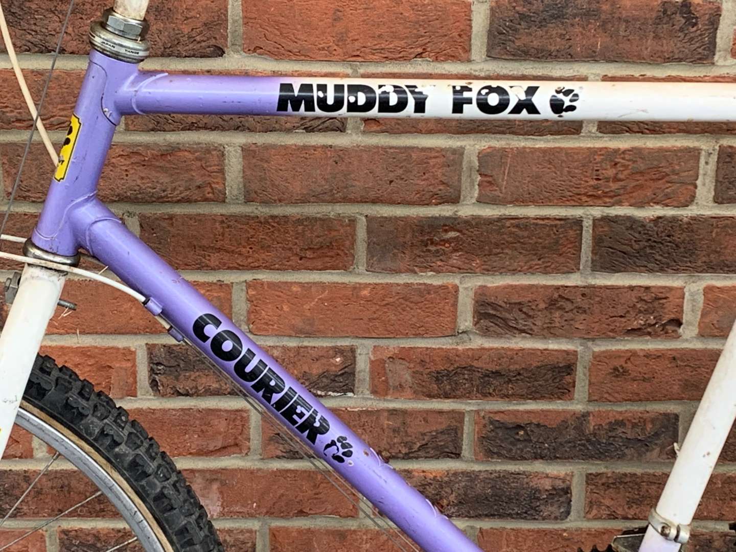 <p>Muddy Fox Mountain Bike</p>