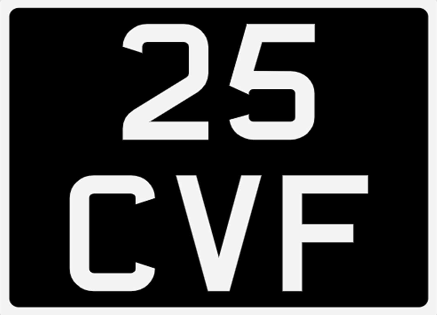 <p>&nbsp; 25 CVF Registration Number&nbsp;</p>