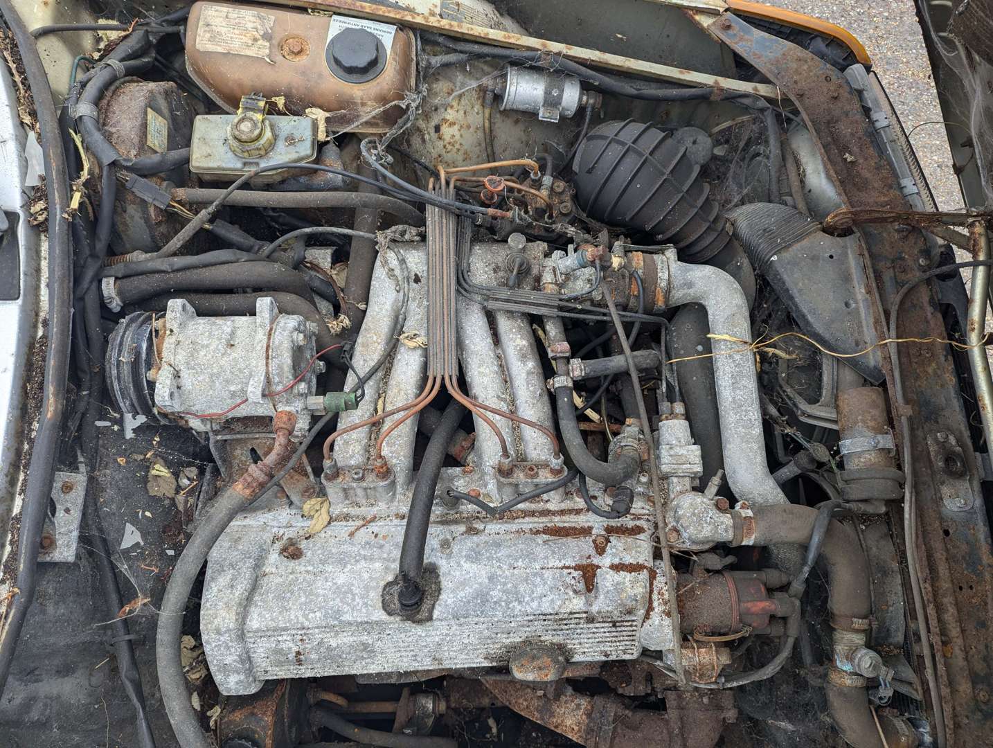 <p>1982 SAAB 900 TURBO AUTO</p>