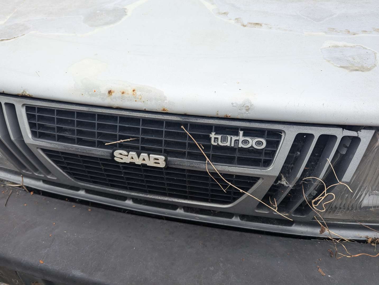 <p>1982 SAAB 900 TURBO AUTO</p>