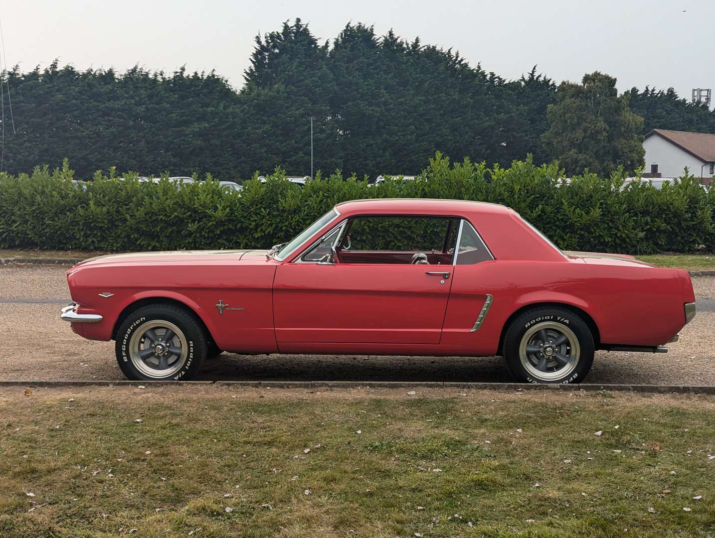 <p>1967 FORD MUSTANG LHD</p>