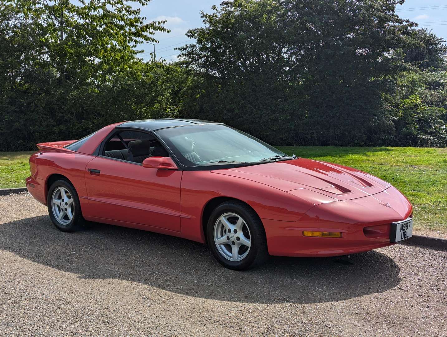 <p>1995 PONTIAC FIREBIRD FORMULA V8</p>