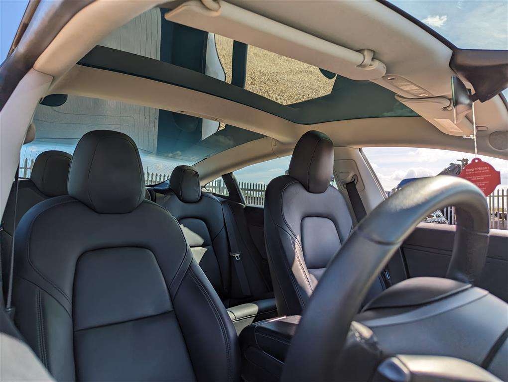 <p>2019 TESLA MODEL 3 STANDARD RANGE +</p>