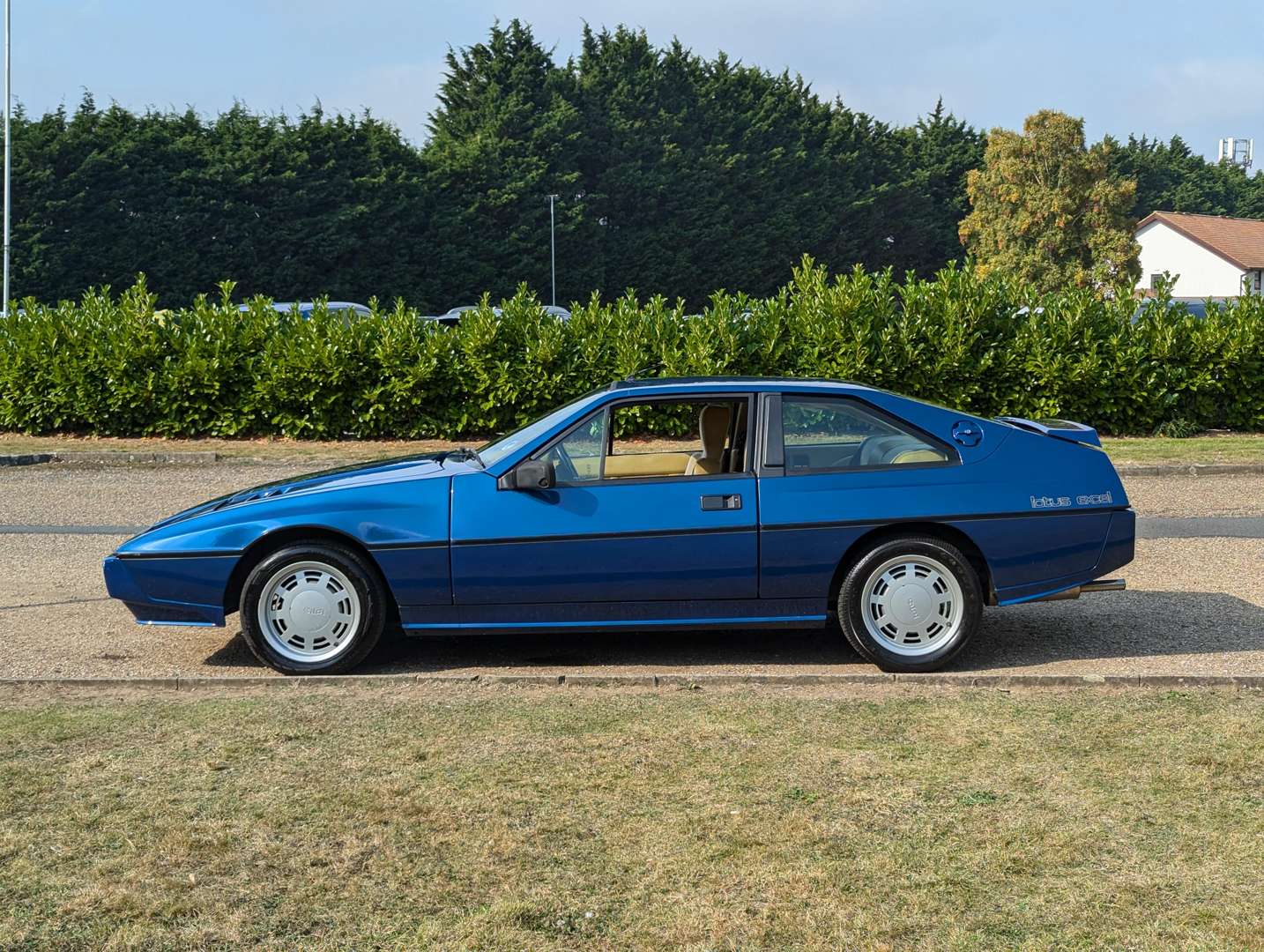 <p>1985 LOTUS ECLAT</p>