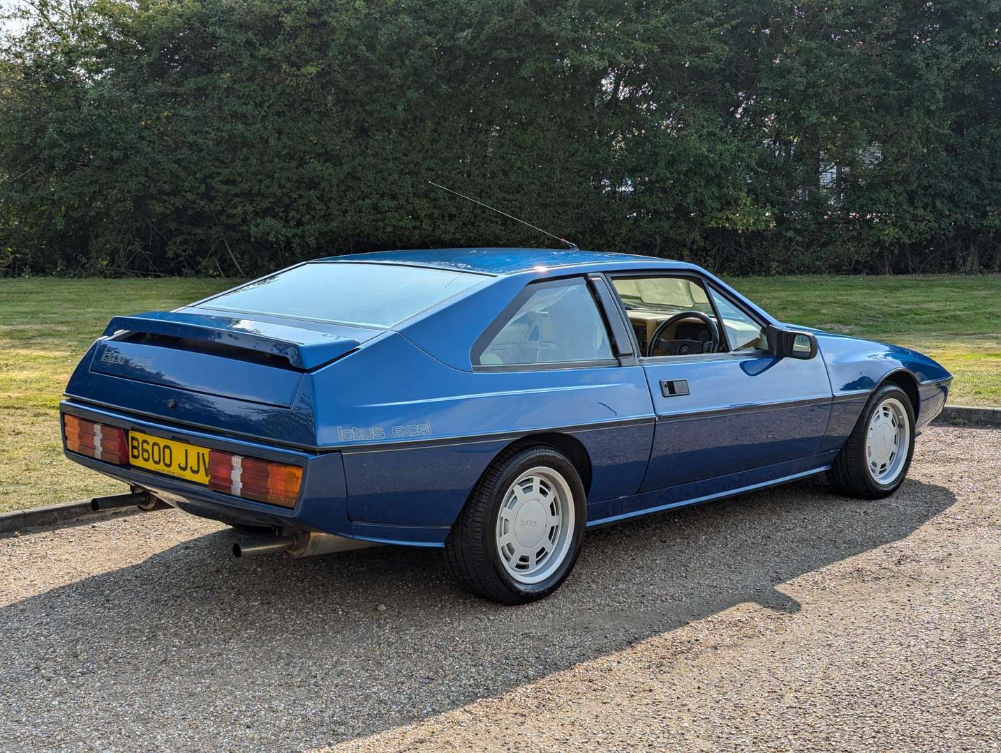 <p>1985 LOTUS EXCEL</p>