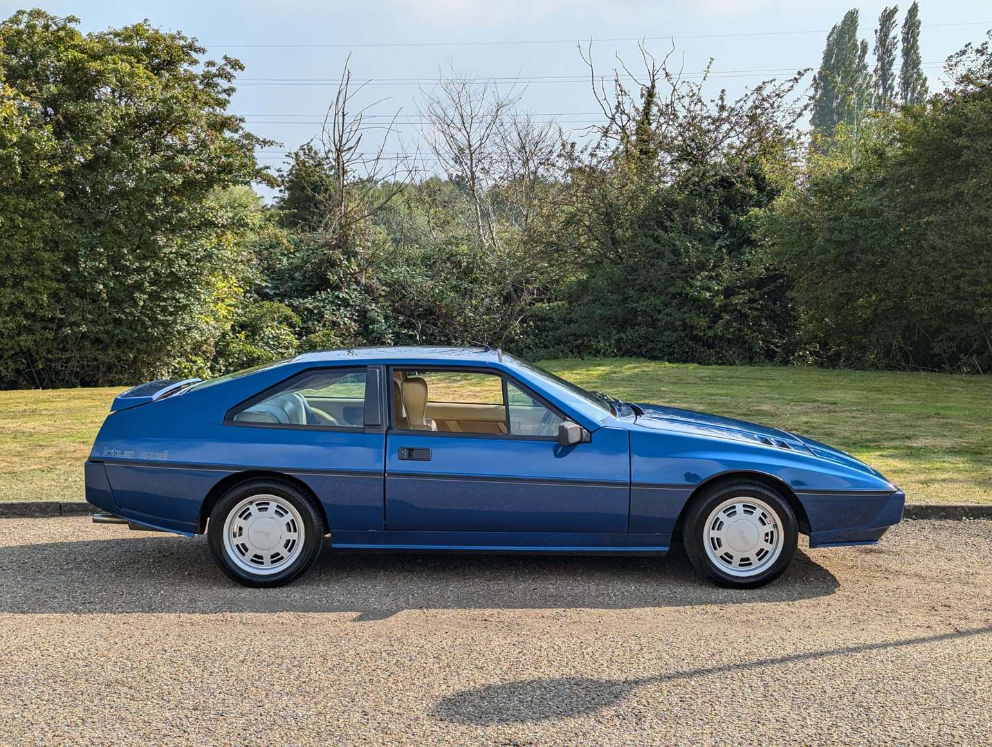 <p>1985 LOTUS ECLAT</p>