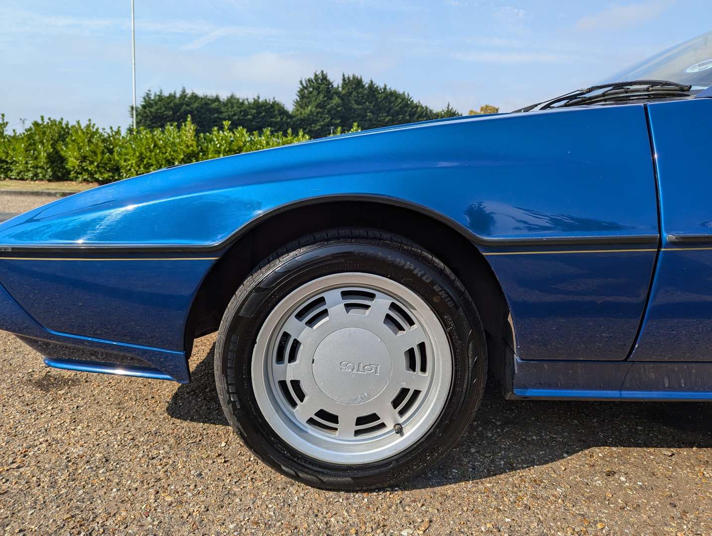 <p>1985 LOTUS ECLAT</p>