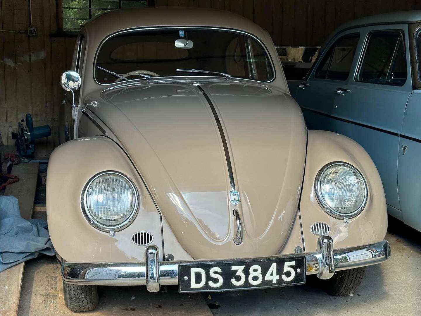 <p>1956 VW BEETLE</p>