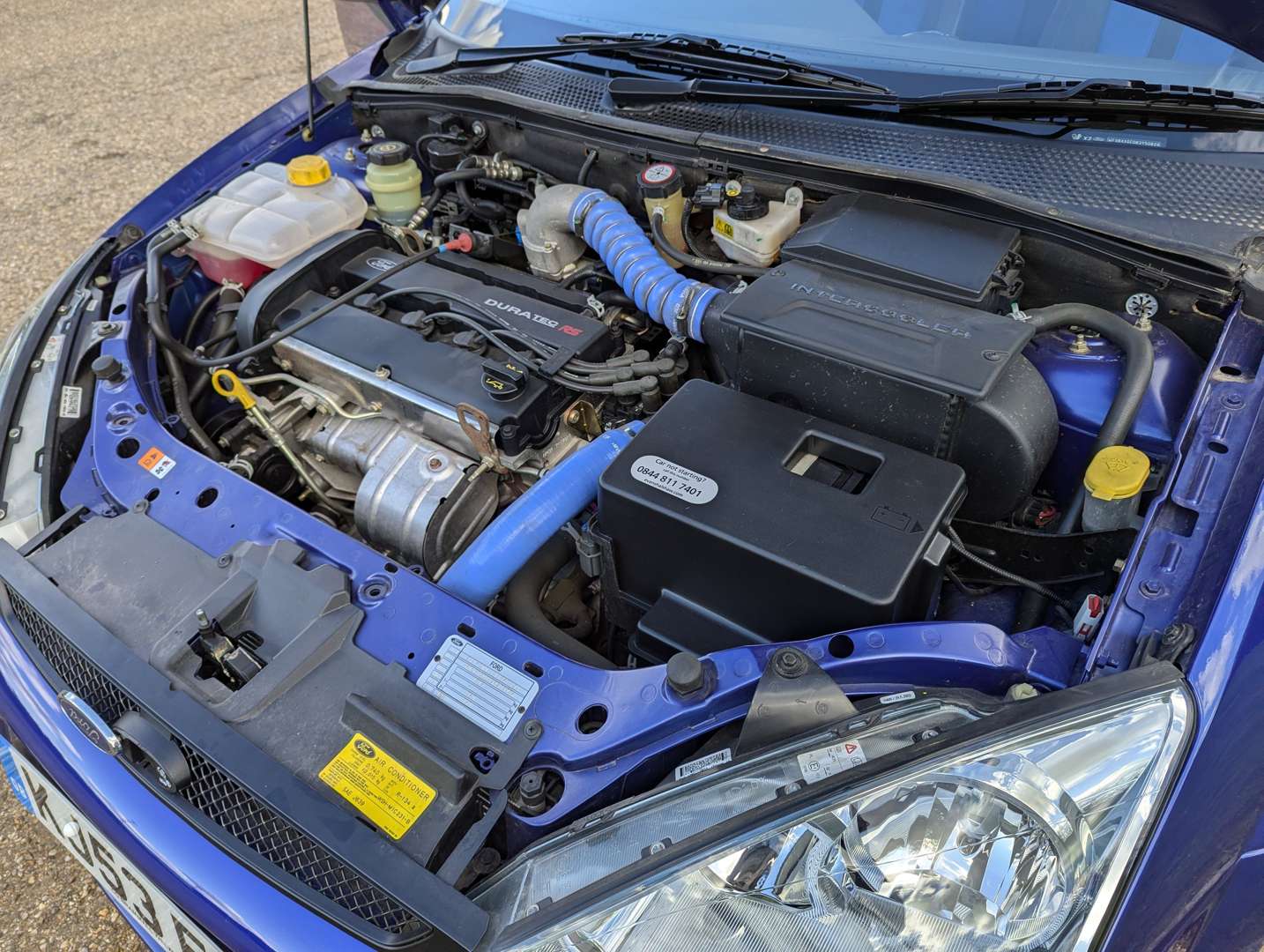 <p>2003 FORD FOCUS RS 5,630 MILES ONE OWNER</p>