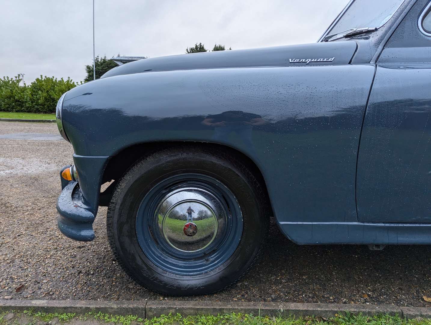 <p>1954 STANDARD VANGUARD</p>