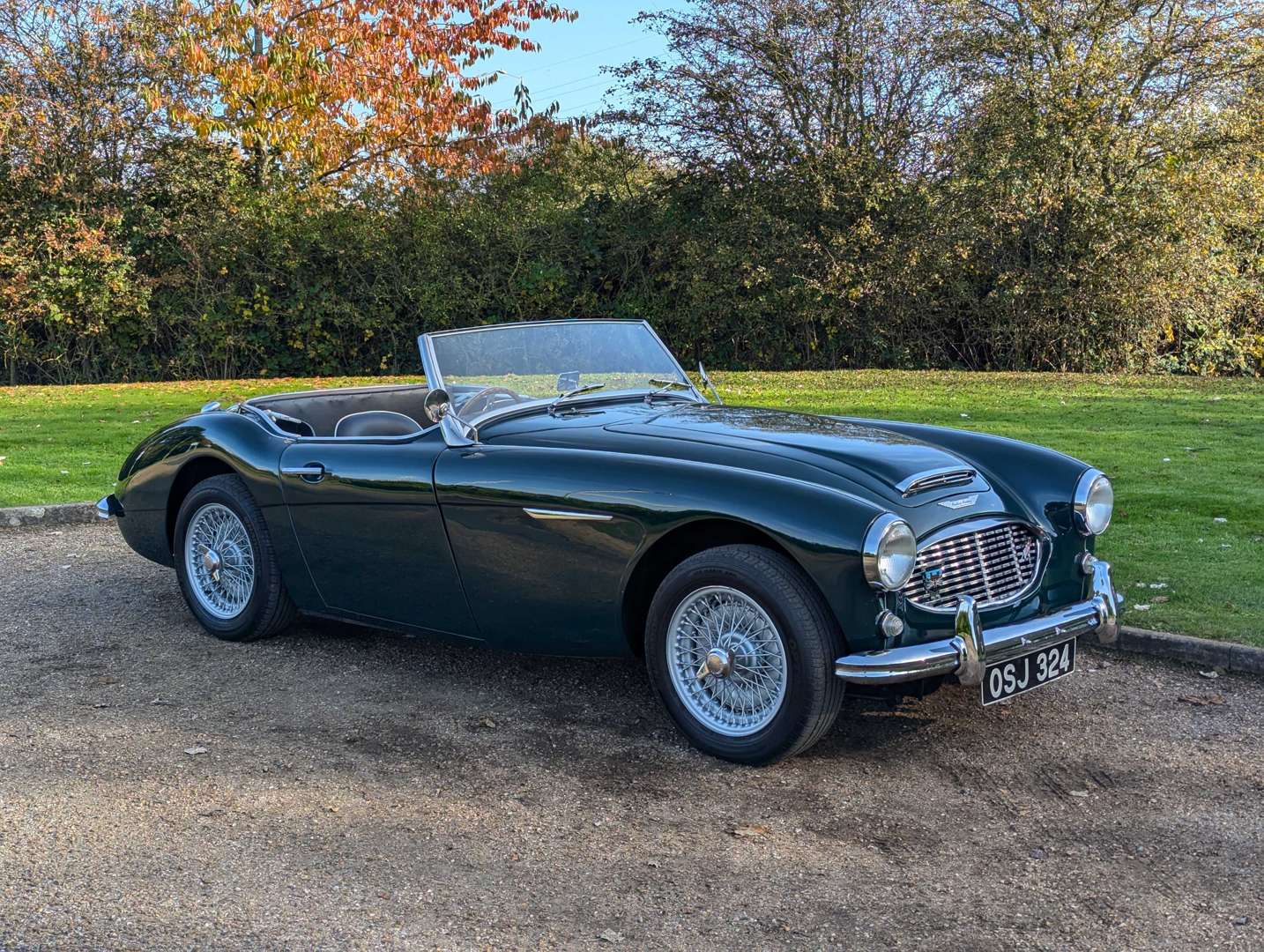 <p>1958 AUSTIN HEALEY 100/6 BN4</p>