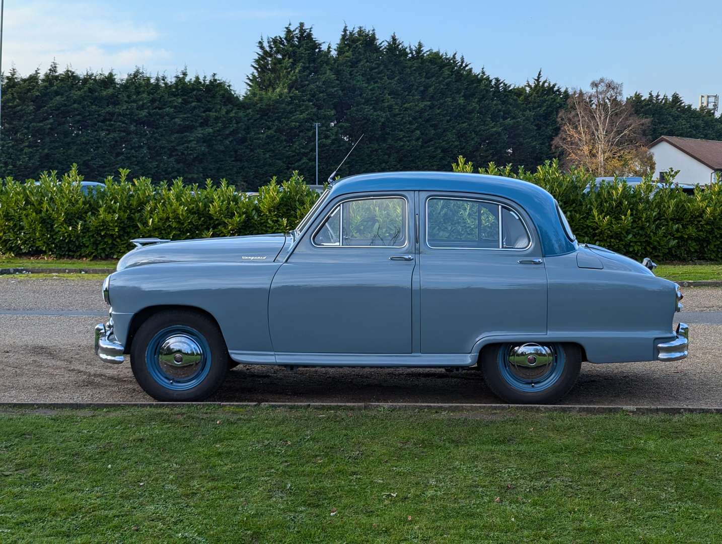 <p>1954 STANDARD VANGUARD</p>