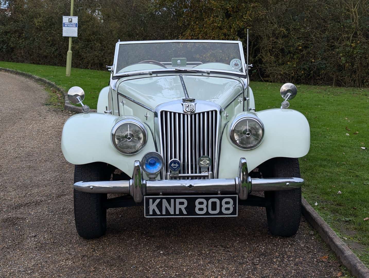 <p>1954 MG TF</p>