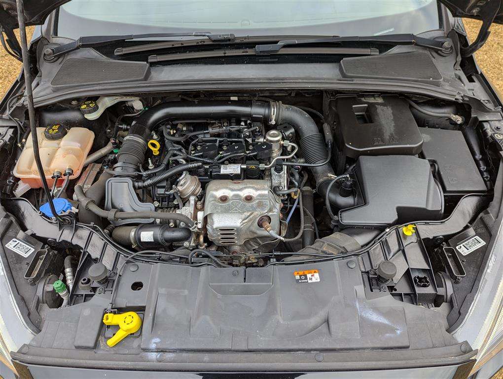 <p>2018 FORD FOCUS ST-LINE</p>