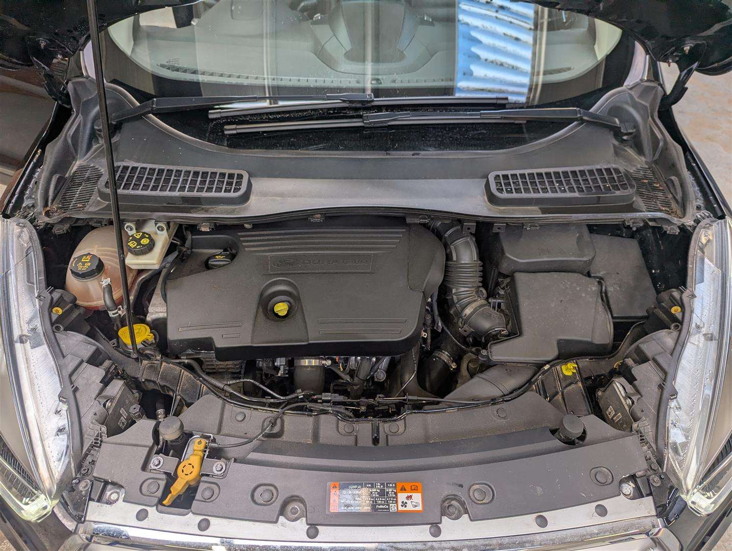 <p>2019 FORD KUGA TITANIUM X ED TDCI 4</p>