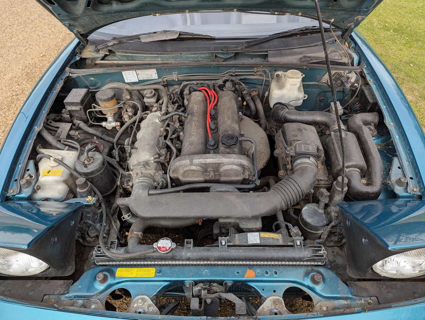 <p>1998 MAZDA MX-5 BERKELEY</p>