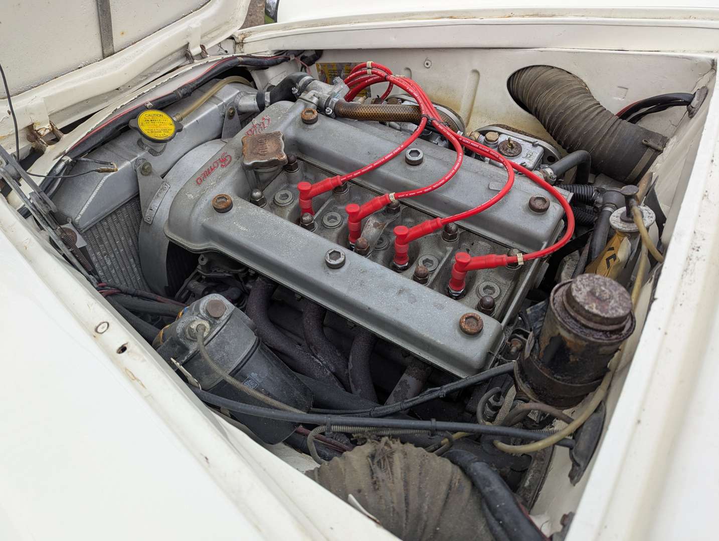 <p>1962 ALFA ROMEO GIULIETTA SPRINT LHD</p>