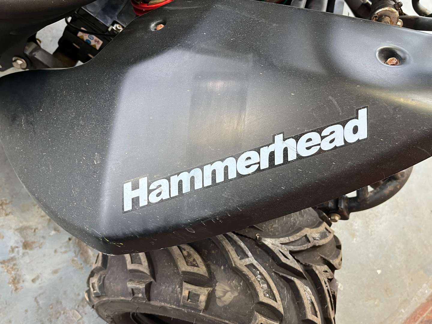 <p>2016 HAMMERHEAD BUGGY</p>