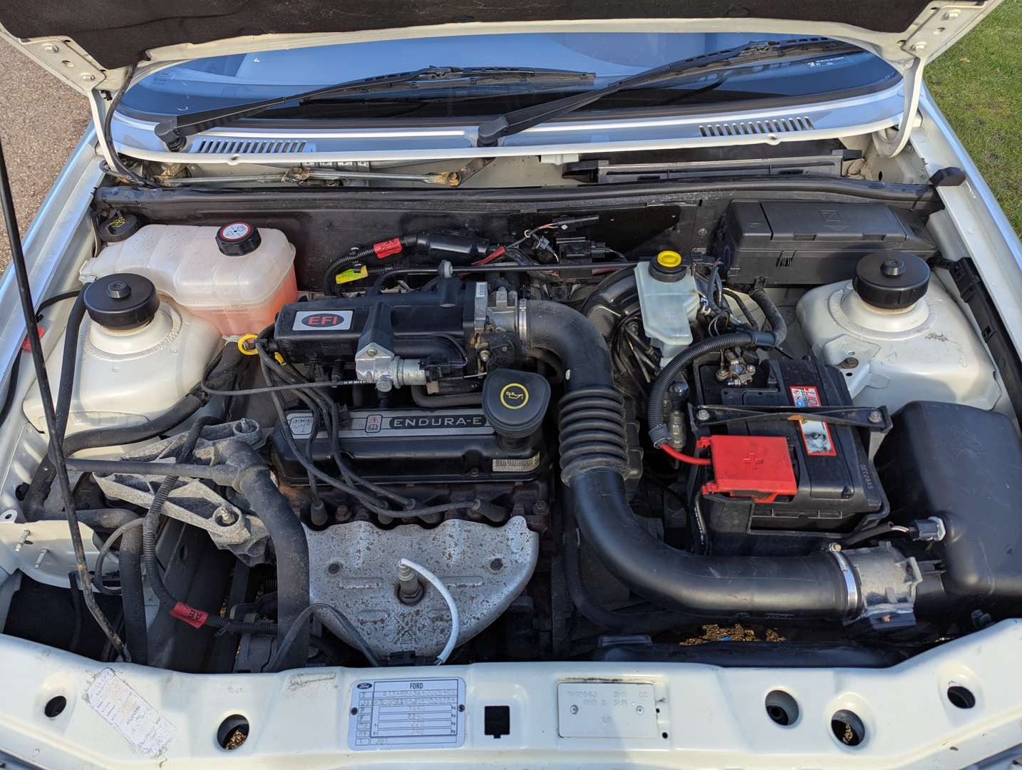 <p>1997 FORD FIESTA ENCORE</p>