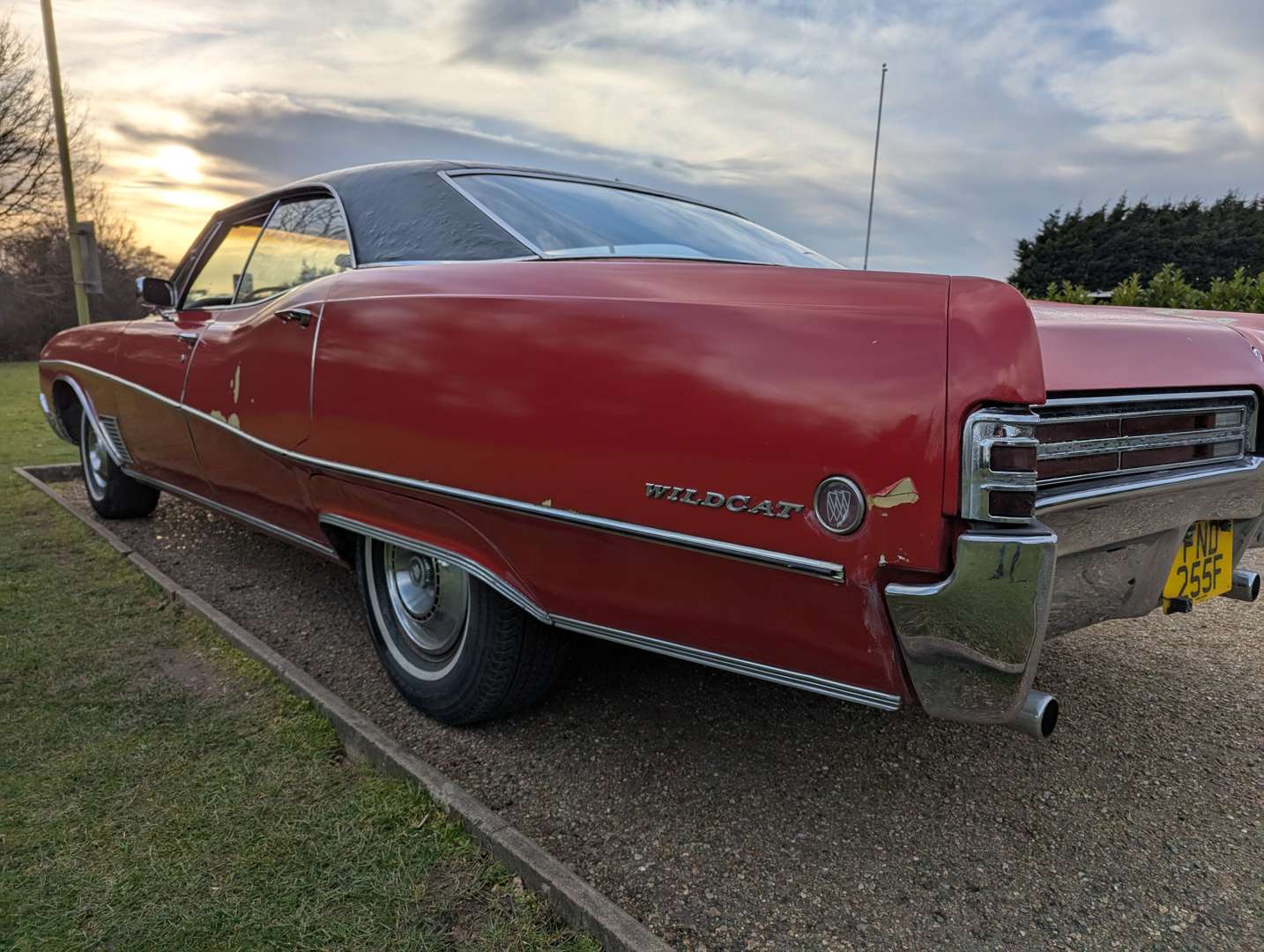 <p>1968 BUICK WILDCAT LHD</p>