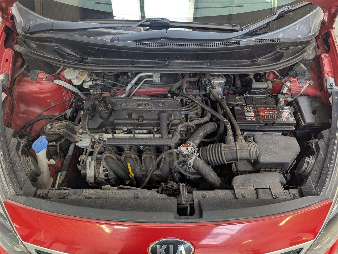 <p>2016 KIA RIO SR7</p>