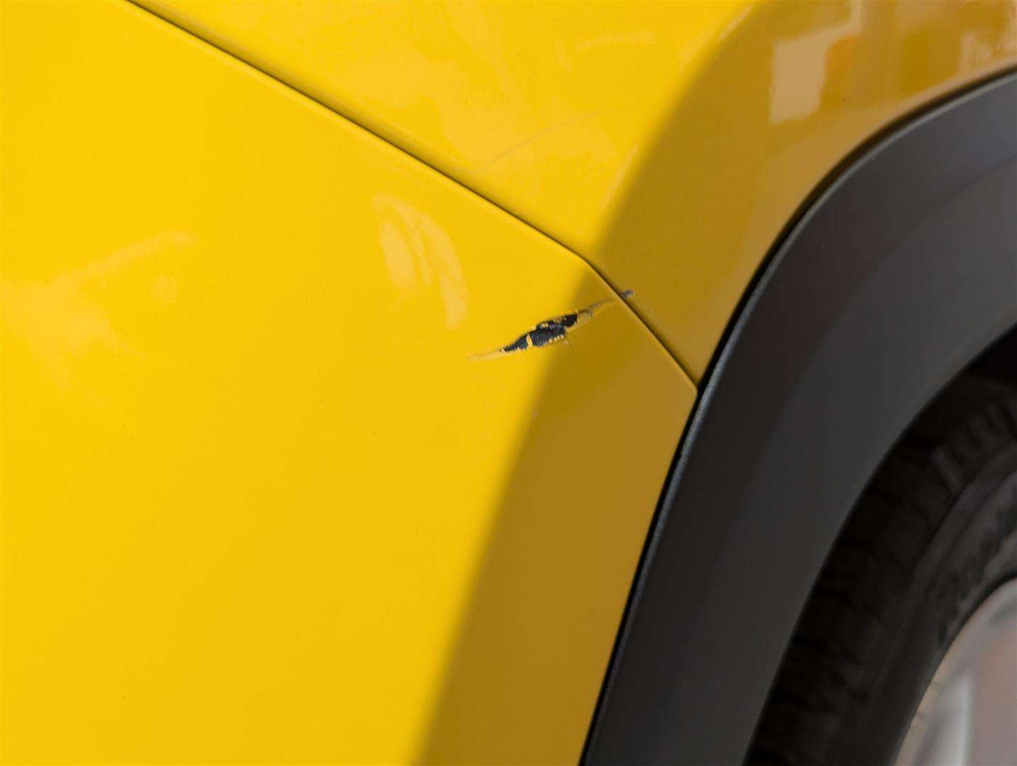 <p>2015 JEEP RENEGADE LONGITUDE</p>