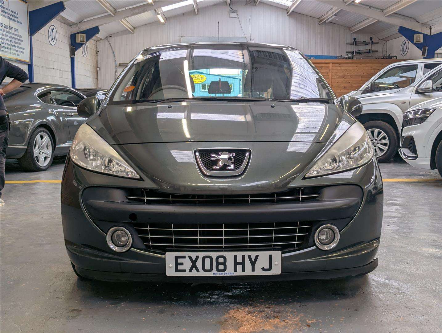 <p>2008 PEUGEOT 207 SE</p>