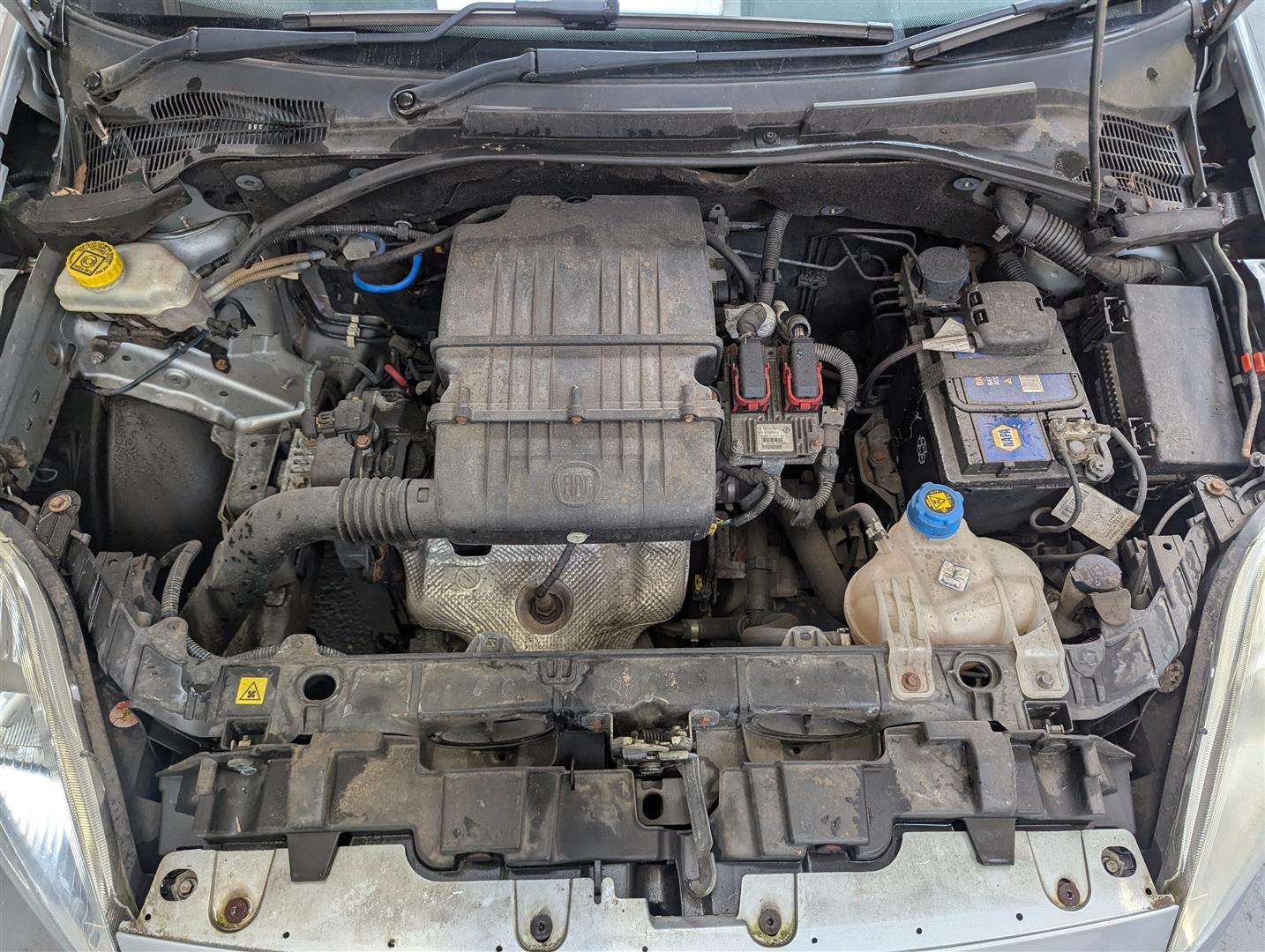 <p>2009 FIAT GRANDE PUNTO ACTIVE 65</p>