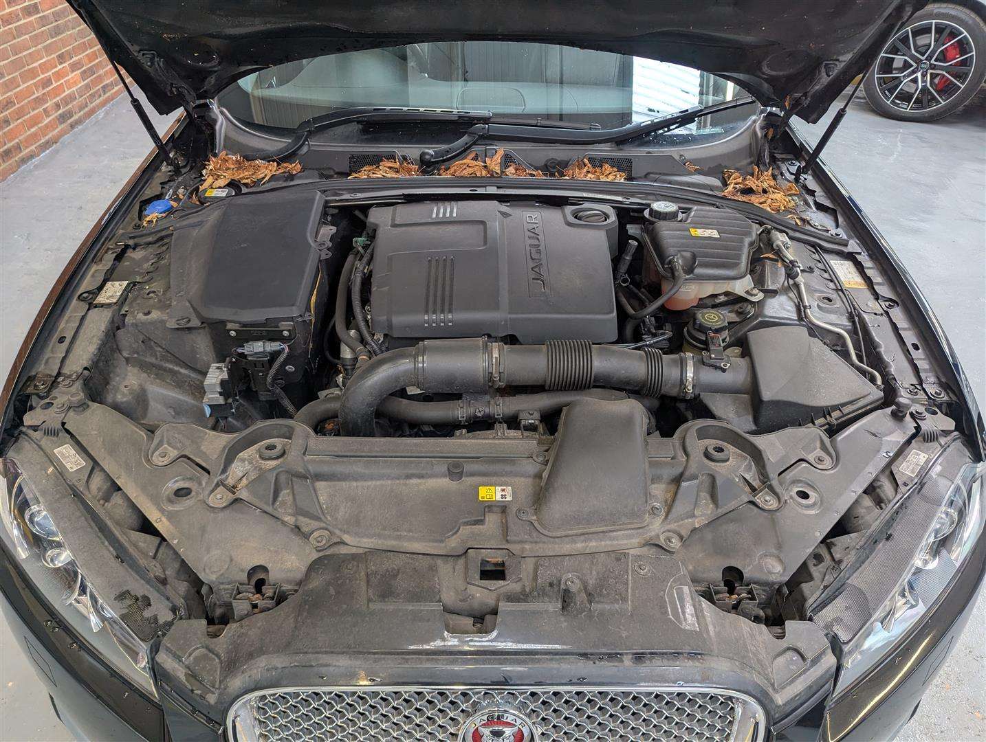 <p>2014 JAGUAR XF PREMIUM LUXURY D AUTO</p>