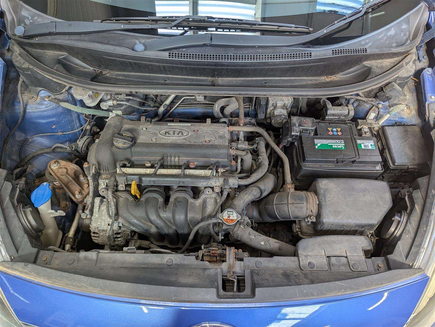 <p>2013 KIA RIO 2 ECODYNAMICS</p>