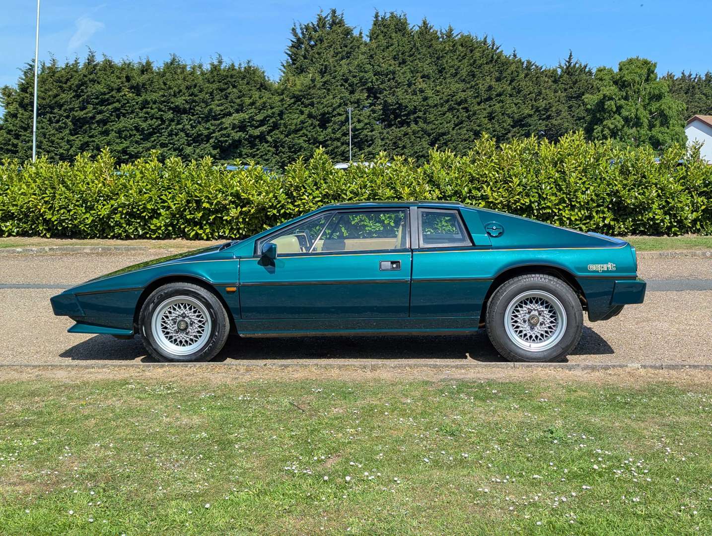 <p>1986 LOTUS ESPRIT S3</p>
