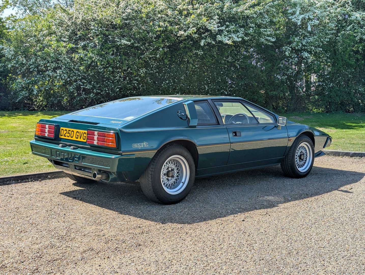 <p>1986 LOTUS ESPRIT S3</p>