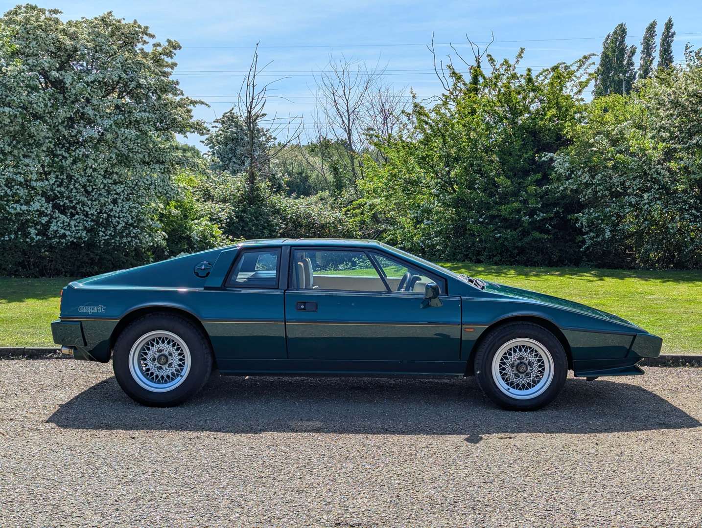 <p>1986 LOTUS ESPRIT S3</p>